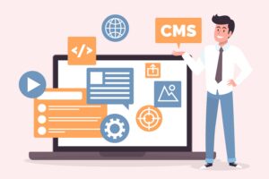 CMS Web Development in Delhi
